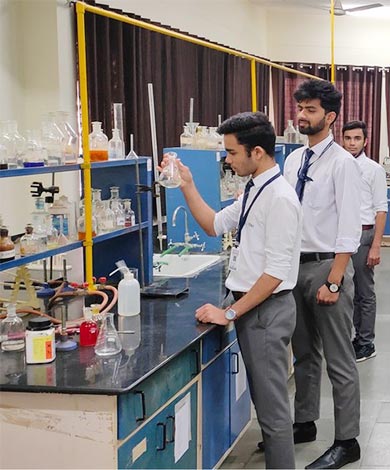 Master of Arts in Political Science